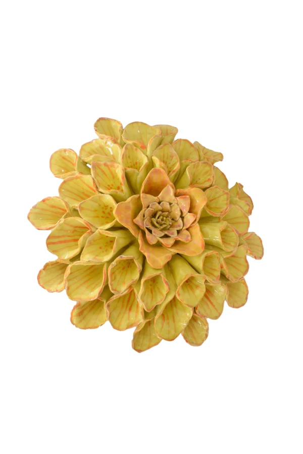 Flor ecuatoriana grande - Imagen 2