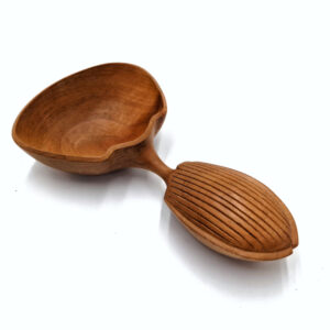 Cucharón Calosoma Sycophanta